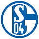 Schalke-04